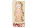 Puzzle drewniane warstwowe budowa ciała montessori dziewczynka Puzzle drewniane warstwowe budowa ciała montessori dziewczynka