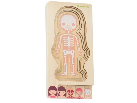 Puzzle drewniane warstwowe budowa ciała montessori dziewczynka Puzzle drewniane warstwowe budowa ciała montessori dziewczynka