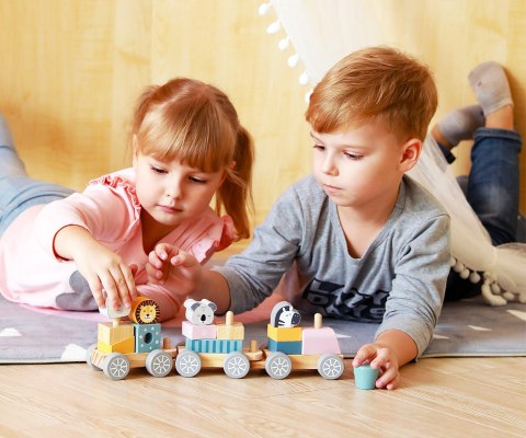 Viga 44015 PolarB Pociąg Viga 44015 PolarB Pociąg