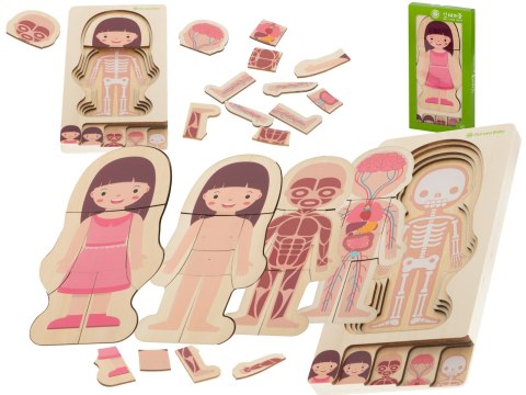 Puzzle drewniane warstwowe budowa ciała montessori dziewczynka Puzzle drewniane warstwowe budowa ciała montessori dziewczynka