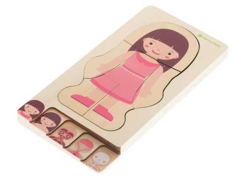 Puzzle drewniane warstwowe budowa ciała montessori dziewczynka Puzzle drewniane warstwowe budowa ciała montessori dziewczynka