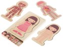 Puzzle drewniane warstwowe budowa ciała montessori dziewczynka Puzzle drewniane warstwowe budowa ciała montessori dziewczynka