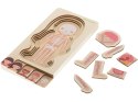 Puzzle drewniane warstwowe budowa ciała montessori dziewczynka Puzzle drewniane warstwowe budowa ciała montessori dziewczynka