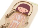 Puzzle drewniane warstwowe budowa ciała montessori dziewczynka Puzzle drewniane warstwowe budowa ciała montessori dziewczynka