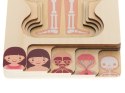 Puzzle drewniane warstwowe budowa ciała montessori dziewczynka Puzzle drewniane warstwowe budowa ciała montessori dziewczynka